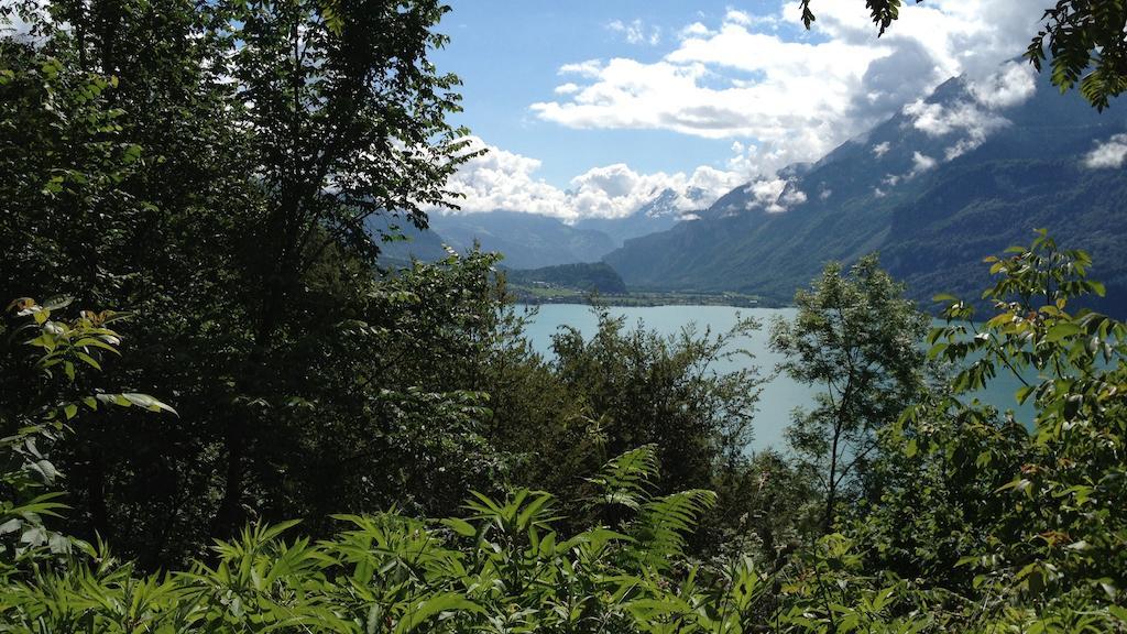 Seeli Hofstetten bei Brienz Zimmer foto